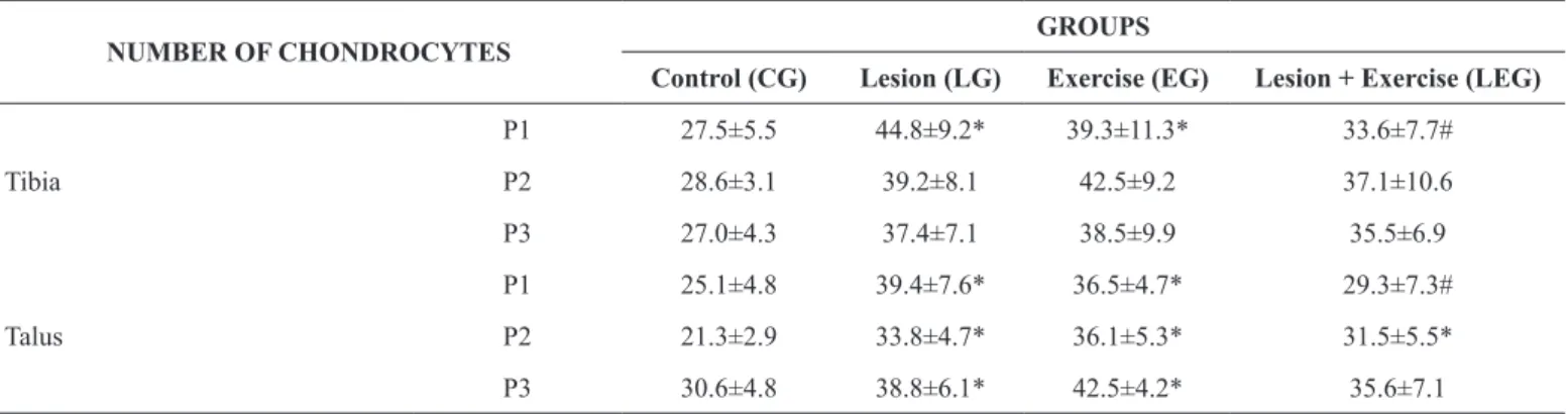 Table 2. Number of chondrocytes in the articular cartilage of the tibia and talus.