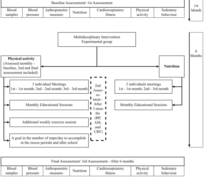 Fig. 2. Content and timeline of intervention