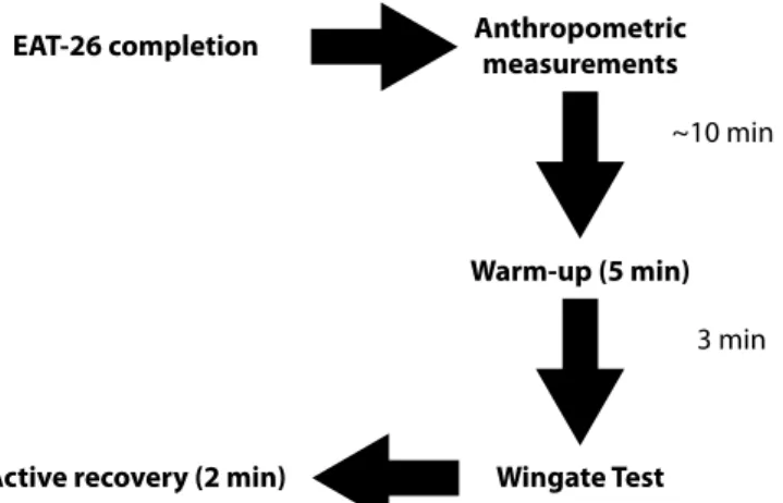 Figure 1. Experimental design of the present study.