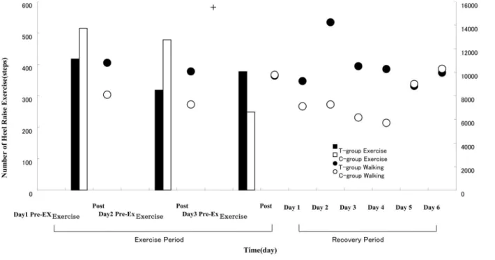 Figure 2 - Stepping number of Calf-raise exercise and stepping number of daily walking after maximum heel raise exercise for 3 days of exercise period and for 7 days of recovery period