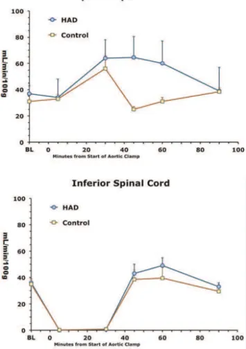 Figure 1 - Blood flows over time in spinal cord superior (top) and inferior (bottom) to the aortic clamping and HAD or bicarbonate infusion