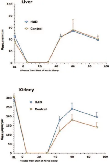 Figure 3 - Blood flows over time in liver (top) and kidney (bottom) in response to aortic clamping and release