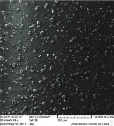 Figure 1 - Scanning Electron Microscopic of testosterone particles morphology  administered topically in 14 women submitted to TNT during 12 weeks