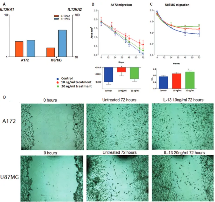 Figure 3 - (A)  IL13RA1  (orange) and  IL13RA2  (blue) expressions in A172 and U87MG cells by qRT-PCR