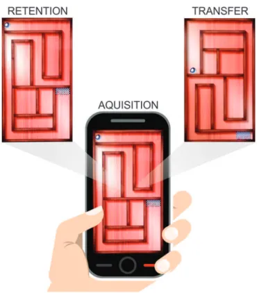 Figure 1 - Experimental design of the mazes in the acquisition, retention, and transfer phases.