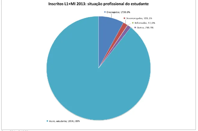 Gráfico 13: Proporção de inscritos em L1 e MI, por situação profissional (2013) 
