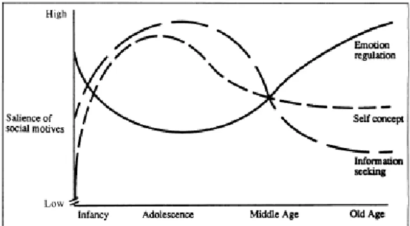 Figura 1. Representação da evolução dos três motivos sociais ao longo do ciclo de vida (Carstensen, 1995) 