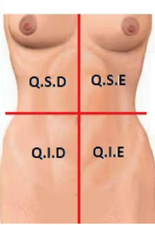 FIGURA 1- Divisão dos quadrantes abdominal, para aplicação do US.