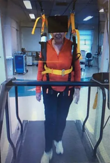 Figure 1 displays the non-weight-bearing harness  used in this project: it is projected to eliminate the risk  of falls