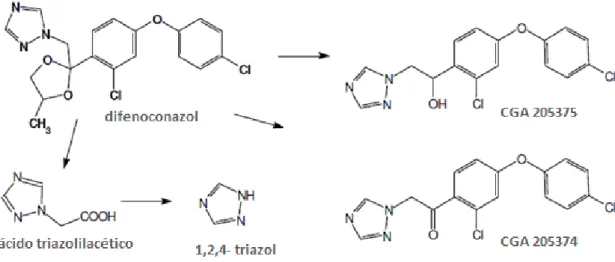 Figura  12-  Via  de  metabolização  proposta  para  o  metabolismo  aeróbio  do  difenoconazol  no  solo
