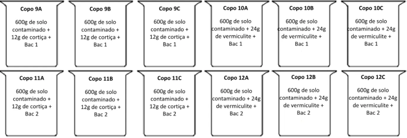 Figura  19-  Esquema  da  montagem  do  ensaio  de  biodegradação  e  descrição  das  diferentes  modalidades  onde  foram  adicionadas  bactérias