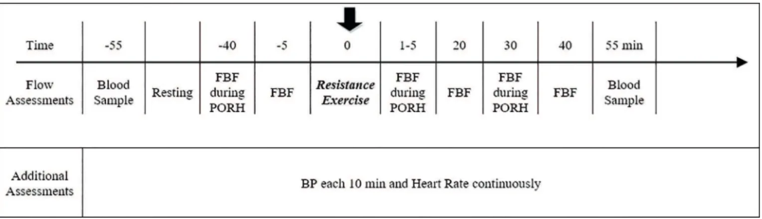 Figure 1: Procedures and assessments employed. FBF – Forearm blood low (Baseline measurements); PORH – Post-occlusive reactive hyperemia response; BP – blood pressure.