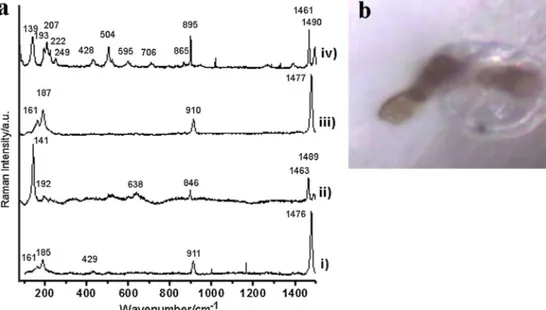 Fig. 6. Raman spectra and image of crystalline compounds identified over inoculated samples (a) Raman spectra of oxalate crystals over glaze tile samples