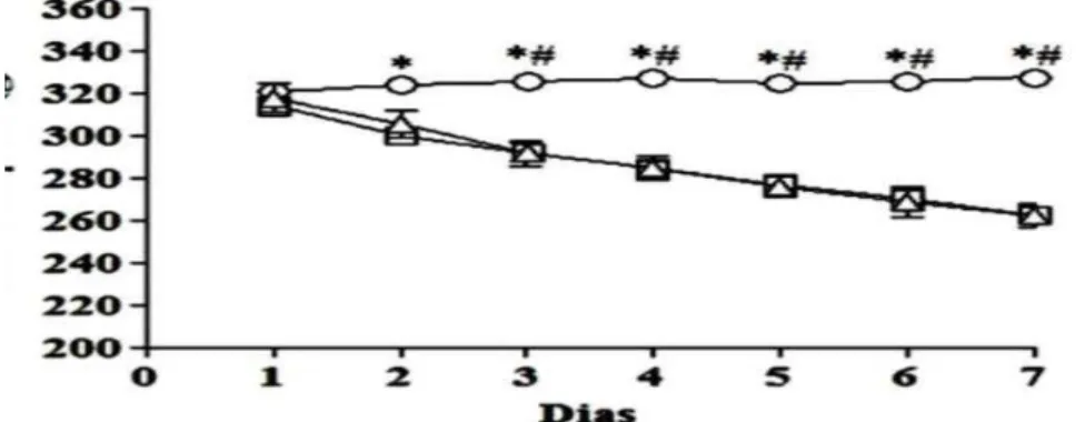 Figure 1.  Effect of dexamethasone-induced resistance to insulin on body weight. Control  group (CON), treated sedentary group (DS);  dexamethasone-treated + exercise group (DE)