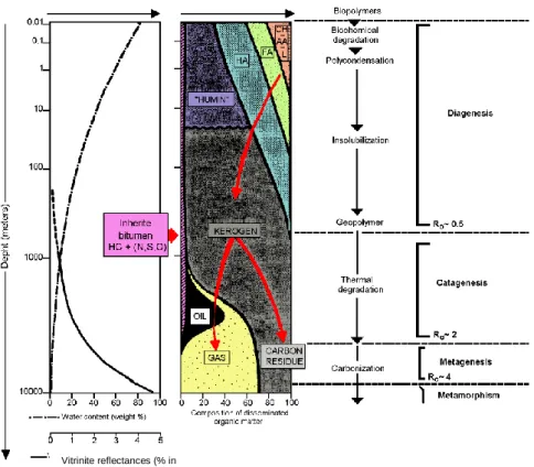 Figure  3.  Stages  of  evolution  of  the  organic  matter  (Tissot  and  Welte,  1984)