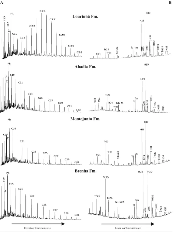 Figure 17. n-Alkanes (A, ion m/z 85) and terpanes (B, ion m/z 191) distributions in selected samples from the  Ramalhal-1 borehole
