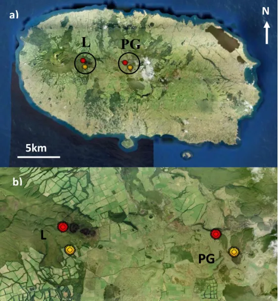 Figure 1 – a) Study areas in Terceira island: Lomba (L) and Pico Galhardo (PG) and b) the location of  the sampling sites (red and yellow markings are conserved and disturbed areas, respectively)