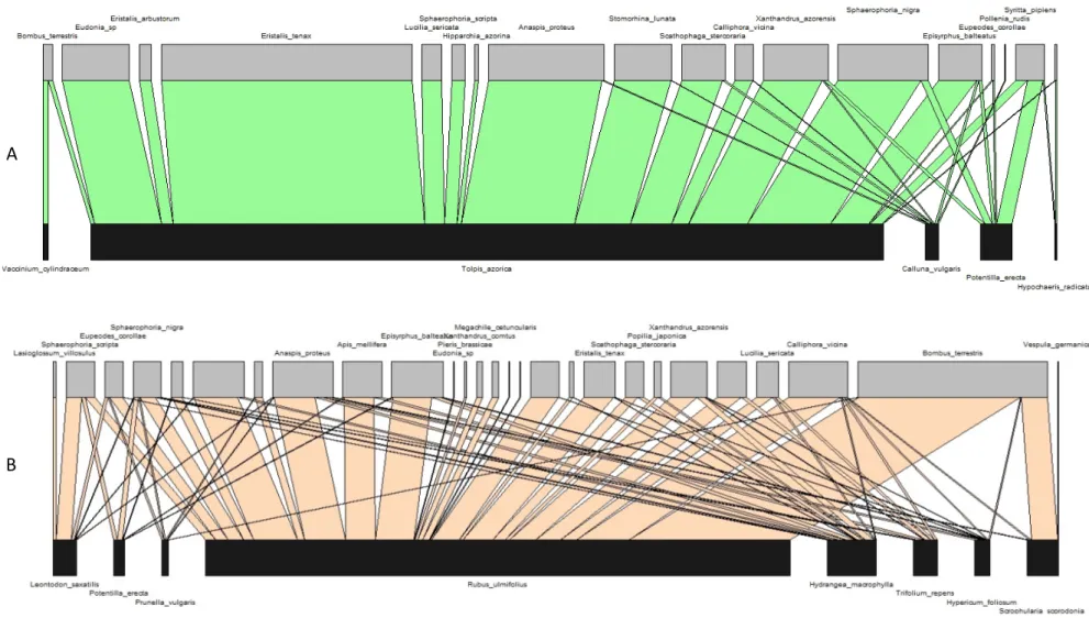 Figure 8 – Visitation networks at Lomba. The network from the well-preserved site is shown on top (A - with interactions in green) while the network from  the disturbed site is presented at bottom (B - with interactions in rose)