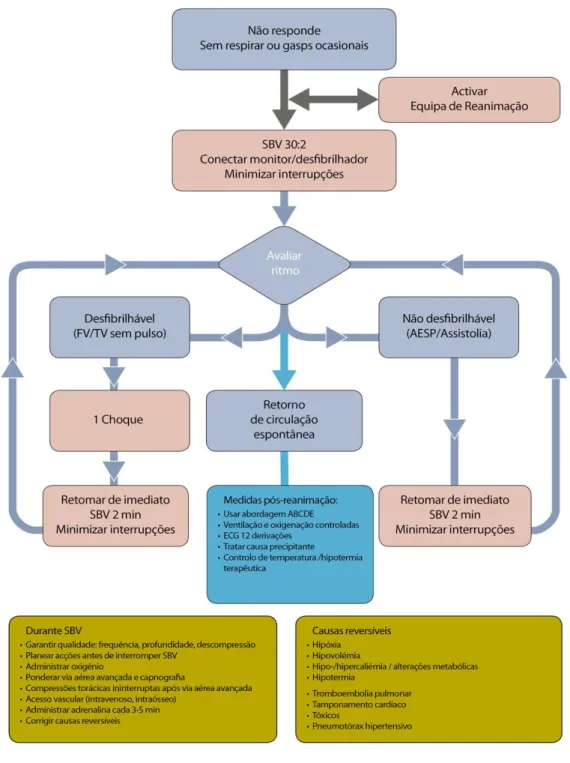 Figura 2 - Algoritmo de SAV – PCR. 