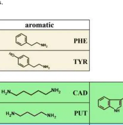 Figure 1. BAs classification according to their structure and number of amine groups. 