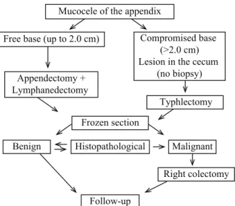 Figure 1. Computed tomography: cystic image adjacent to the cecum.
