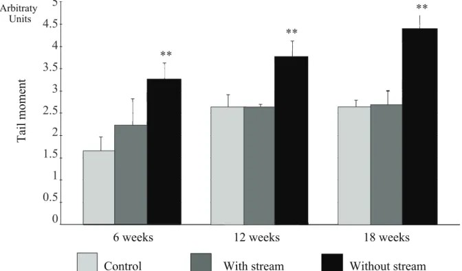 Figure 8. Levels of cell oxidative stress comparing the control and experiment subgroups (colons with and without stream) in the different  times of exclusion