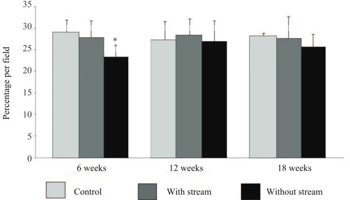 Figure 5.  Total β-catenin tissue content measured by computerized morphometry comparing animals from the control and experiment  subgroups (colons with and without stream) in the different periods of intestinal stream exclusion.