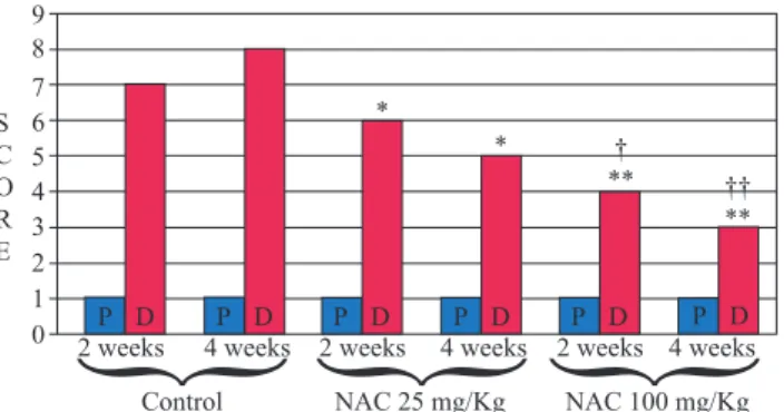 Figure  5  presents  the  microscopic  inlamma - -tory score, comparing segments with and without  fe-cal stream in the animals from the control group and  experiment groups (NAC at 25mg/kg and 100mg/kg)  two and four weeks after the intervention