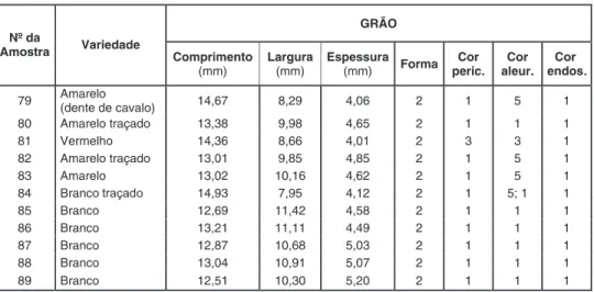 Tabela 7 - Média dos valores obtidos nas amostras, em relação à caracterização morfológica dos grãos de milho de variedade tradicionais da ilha das Flores