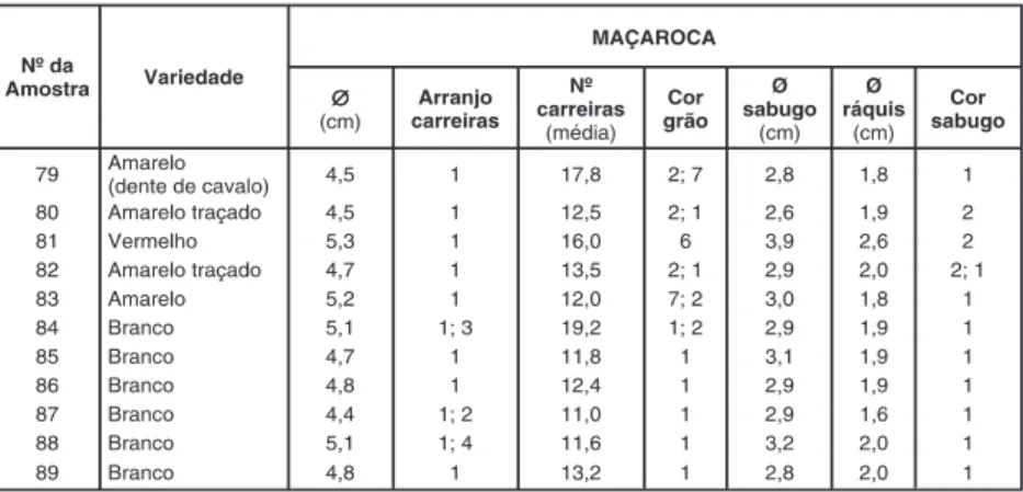 Tabela 6 - Média dos valores obtidos nas amostras, em relação à caracterização morfológica das maçarocas de milho de variedade tradicionais da ilha das Flores