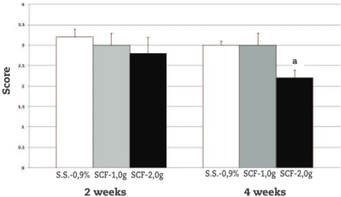 Fig. 6 – Inlammatory iniltrate in animals subjected to  daily irrigation with 0.9% SS, SCF 1.0 g/kg and 2.0 g/kg after  two and four weeks of intervention