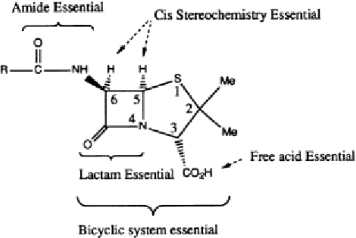 Figura 2: Relação estrutura química-atividade.