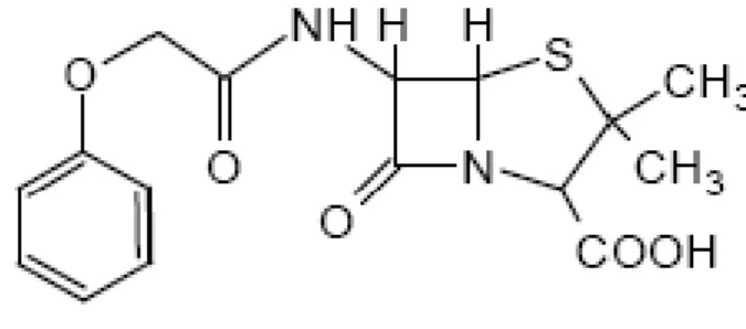 Figura 4: Estrutura química da fenoximetilpenicilina.
