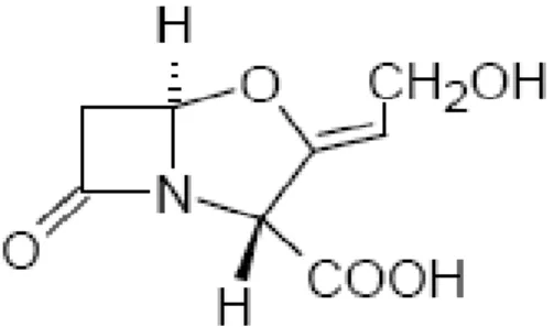 Figura 7: Estrutura química de ampicilina. Figura 8: Estrutura química de amoxicilina.