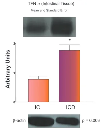 Fig. 4 – Representative Western blot analyses and 