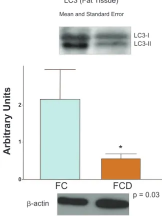 Fig. 8 – Results of ATG16-L1 gene expression determined by  RT-PCR. For FCD Group, n = 10; for FC Group, n = 8, *p &lt; 0.05 vs  control.