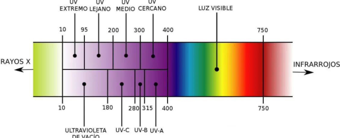 Figura 1. Espectro de luz ultravioleta (Adaptado de Aguirre A. 2018) 