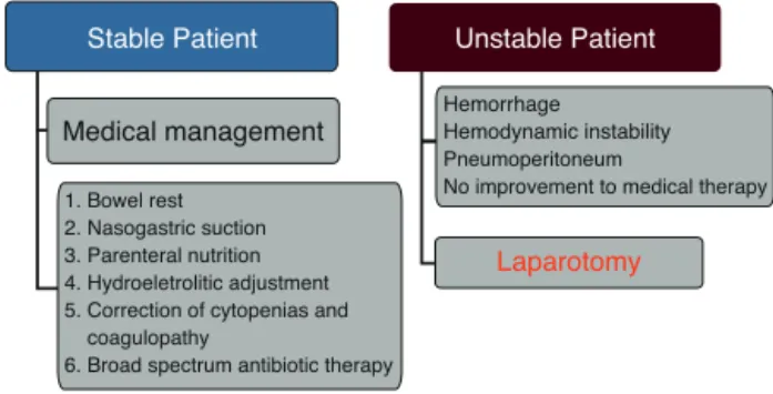Fig. 1 – Neutropenic enterocolitis management.