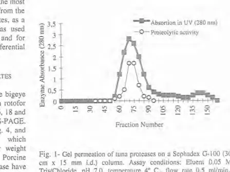 Fig.  1-  Gel  permeation  of  tuna proteases on  a Sephadex 6-100 (30  crn  x  15  mm  i.d.)  column