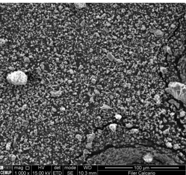 Fig. 34 – Filer calcário observado num microscópio eletrónico de varrimento com uma ampliação de 1000 x .