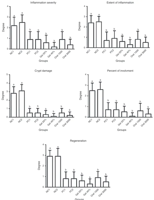 Fig. 1 – Comparison of histopathological indices of damage and regeneration between different groups