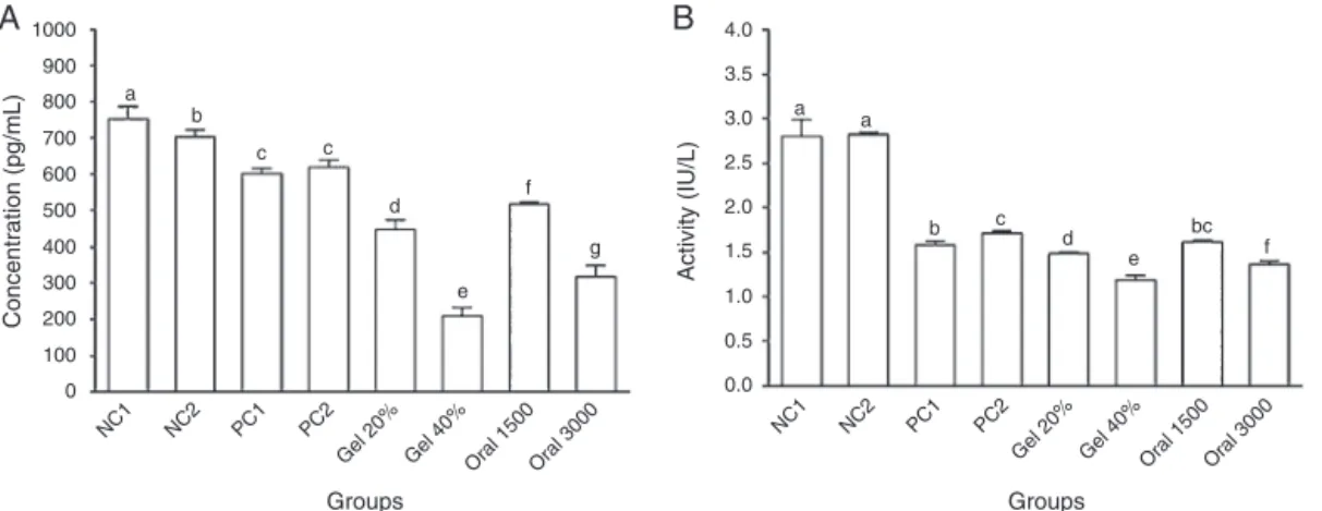Fig. 3 – Changes of inflammatory indices in colon tissues of rats in different groups