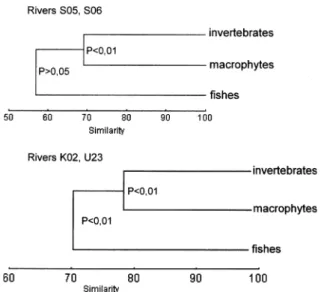 Figure 7. Cluster analyses of all biological elements for sub- sub-groups of Lowland, rivers