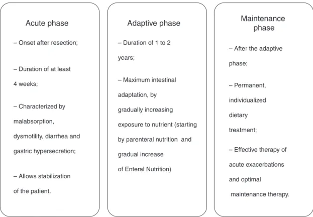 Fig. 1 – Adaptation phases post-intestinal resection. 14