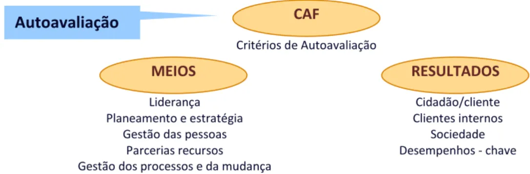 Figura nº 05  - Critérios da estrutura comum de avaliação. 