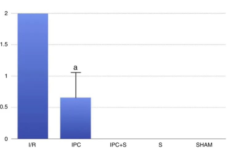Fig. 1 – Comparison of the degrees of intestinal lesion among the different groups analyzed (Kruskal–Wallis;