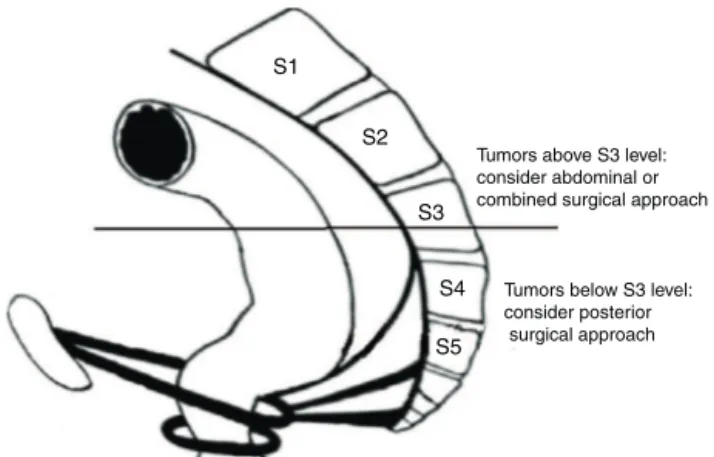 Fig. 2 – Anatomic delineation in respect to surgical approach.