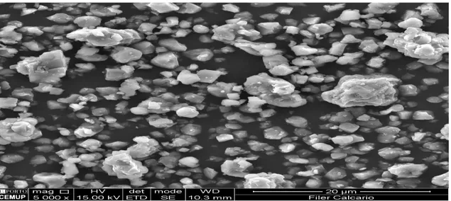 Figura 3.14 Imagem do fíler calcário utilizado neste estudo através do microscópio eletrónico  3.2.4 Agregado - Areia Fina 
