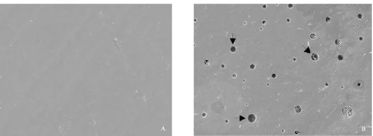 FIGURE 1- A110 conventional composite: (A) after polishing with Sof-Lex discs and before the mechanical toothbrushing test;