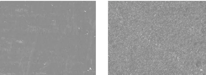 FIGURE 4- Z250 conventional composite: (A) after polishing with Sof-Lex discs and before mechanical toothbrushing test; (B) after mechanical toothbrushing test